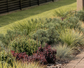 Rolanda I Dizainas (apželdinimo sprendimai) - Aplinkos tvarkymas, apželdinimas - 2 Aplinkos tvarkymas, apželdinimas - Rolanda I Dizainas (apželdinimo sprendimai) - 2