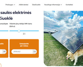 Profesionalios Interneto Svetainės ir Verslo Sprendimai / Armandas Buda / Darbų pavyzdys ID 4143490