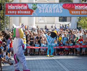 Personažai- šventė į jūsų namus! / Personažai- šventė į jūsų namus. / Darbų pavyzdys ID 4143836