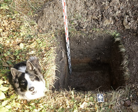 Statybos, apdaila - Archeologiniai tyrimai - 1