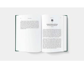 Knygos, brošiūros, katalogai, logotipai ir kiti maketai - Internetas, IT - 3 Internetas, IT - Knygos, brošiūros, katalogai, logotipai ir kiti maketai - 3