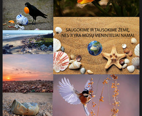 Lipdukų, spaudos failų rengimas, , plakatų kūrimas - Plakatų maketavimas - 3 Plakatų maketavimas - Lipdukų, spaudos failų rengimas, , plakatų kūrimas - 3