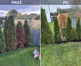 Mulčias, pristatymas - Aplinkos tvarkymas, apželdinimas - 3