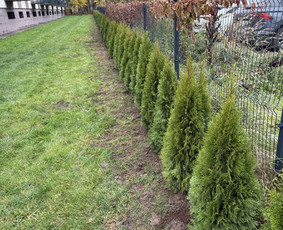 Mulčias, pristatymas - Aplinkos tvarkymas, apželdinimas - 2