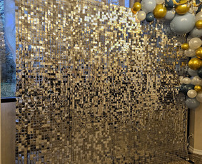 Fotopaslaugos - Foto sienos nuoma Klaipėda - 3