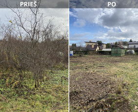 Sklypų tvarkymas: medžių ir krūmų pjovimas su išvežimu. / Albertas Rakuckis / Darbų pavyzdys ID 4146528