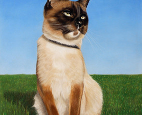 Dailininkai - Portretai iš nuotraukų: pastelė, grafitas, šaržai - 2