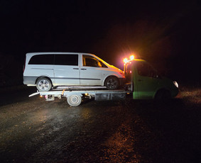 Tralo paslaugos kroviniu pervezimas / Deimantas / Darbų pavyzdys ID 4147098