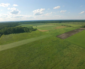 Reklama, dizainas, spauda - Filmavimas Fpv dronu - 1