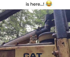 Signalizacijos, kameros, apsaugos sistemos - Apsaugos sistemos,vaizdo stebėjimas - 2