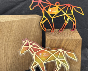 Pjovimas lazeriu - Verslo dovanos, graviravimas, spauda, apdovanojimai. - 3