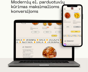 Svetainių kūrimas - Modernių interneto svetainių kūrimas, programavimo darbai - 2