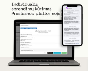 Svetainių kūrimas - Modernių interneto svetainių kūrimas, programavimo darbai - 3