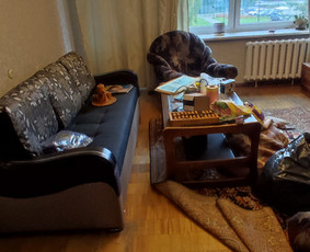 Pigus Šiukšlių Išvežimas Kaina Nuo 12€/m3 / Artur Seniut / Darbų pavyzdys ID 4148238