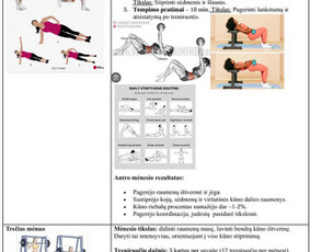 Sporto programos sudarymas - Individualios, specializuotos treniruotės. - 2