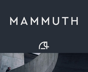 Logotipų kūrimas - Logotipai/ vizualinis identitetas/ katalogai/ pakuotės - 2