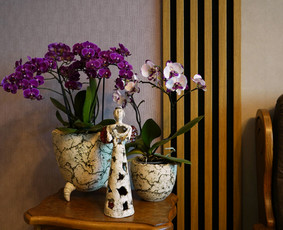 Interjero dizaineriai - Interjero Dizainas - arch. Aurimo Svidinsko Studija - 2