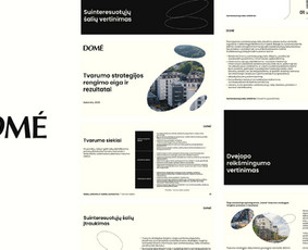 Prezentacijų dizaino kūrimas - Grafikos dizainas / Vizualinis identitetas / Pakuotės - 2