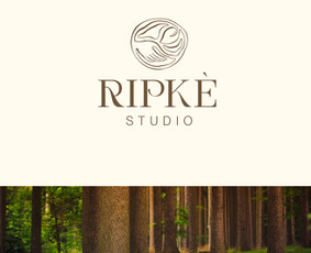 Plakatų maketavimas - Logotipai/ vizualinis identitetas/ katalogai/ pakuotės - 2