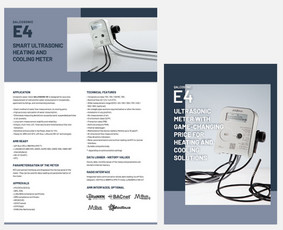 Skrajutės maketavimas - Grafikos dizainas / Vizualinis identitetas / Pakuotės - 3