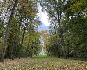 Prancūzų kalbos korepetitorė - pamokos internetu / Jolanta Uscilaityte / Darbų pavyzdys ID 4149662