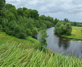 Kitos kategorijos - Bioenergetinis gydymas, Reiki seansai - 3