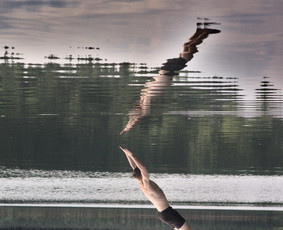 Renginiai, šventės - Fotograffijos paslaugos - 1