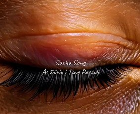 Sasha Song - Jūsų išskirtinei šventei! / Sasha Song / Darbų pavyzdys ID 4150172