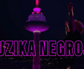 Vestuvių muzikantai - Sasha Song - Jūsų išskirtinei šventei! - 2