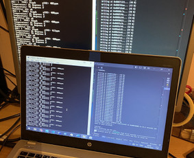 Buitinės paslaugos - Elektronikos projektavimas, automatika - 1