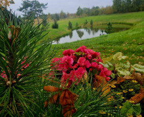 Nuomos paslaugos - Sodybos nuoma - 1