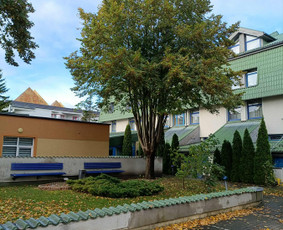 Arboristo paslaugos: medžių pjovimas/genėjimas / Tomas Damulis / Darbų pavyzdys ID 4150686