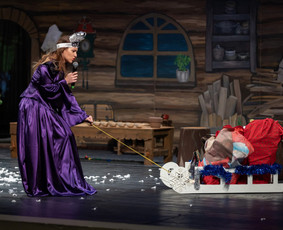 Švenčių organizavimas - Gimtadieniai,įmonės renginiai, konferencijos, vestuvės - 3