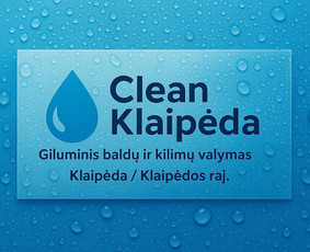 Buitinės paslaugos - Giluminis baldų valymas - 1