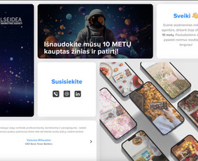 Programavimas su WordPress - Internetinių svetainių ir el. parduotuvių kūrimas - 3