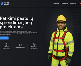 Svetainių talpinimas (Hosting) - Internetinių svetainių ir el. parduotuvių kūrimas - 4