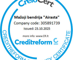 Buhalterinės apskaitos paslaugos - Buhalterinės apskaitos ir verslo analitikos paslaugos - 1