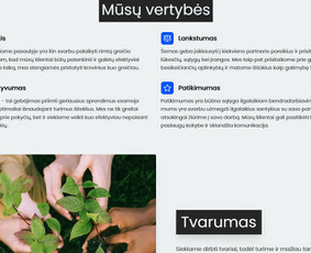 Tekstų redagavimas / Dominyka Aleksaitė / Darbų pavyzdys ID 4152876