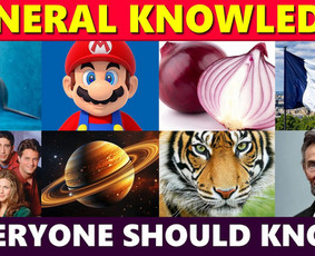 Verslo anglų kalbos kursai - Anglų Kalbos Pamokos! - 2