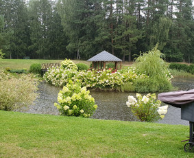 Sodybos Pirties Kubilo Nuoma sodyba nuomai poilsiui šventėms / Vytautas / Darbų pavyzdys ID 4153358