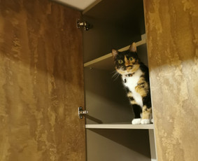 Baldų gamyba - Nestandartiniai korpusiniai baldai visoje Lietuvoje - 4