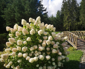 Sodybos nuomai - Sodybos Pirties Kubilo Nuoma sodyba nuomai poilsiui &scaron;ventėms - 2