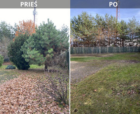 Sklypų tvarkymas: medžių ir krūmų pjovimas su išvežimu. / Albertas Rakuckis / Darbų pavyzdys ID 4153800
