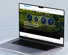 Programavimas su WordPress - Internetinių svetainių, e-parduotuvių, sistemų programavimas - 3