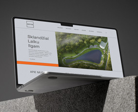 Svetainių dizainas (web design) - Internetinių svetainių, e-parduotuvių, sistemų programavimas - 3