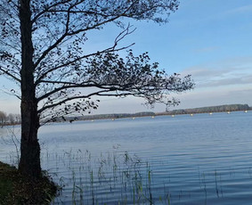 Sveikata, gydymas - Psichologo konsultacijos gyvai ir nuotoliu - 1