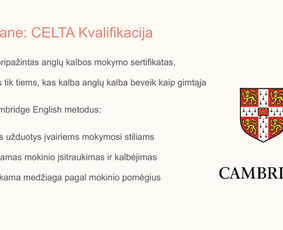 Mokymai, kursai, kalbos - Anglų kalbos pamokos nuotoliu suaugusiems - 3