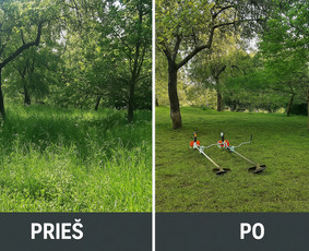 Statybos, apdaila - Apleistų sklypų tvarkymas - 3