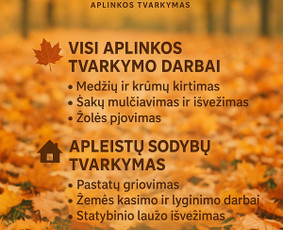 Statybos, apdaila - Apleistų sklypų tvarkymas - 1