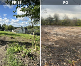 Griovimo darbai / griovimas, Demolition / Darbų pavyzdys ID 4155372